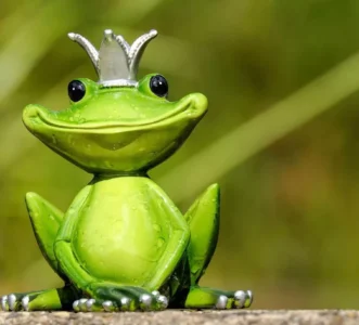 La course de grenouilles, un conte inspirant sur la confiance en soi
