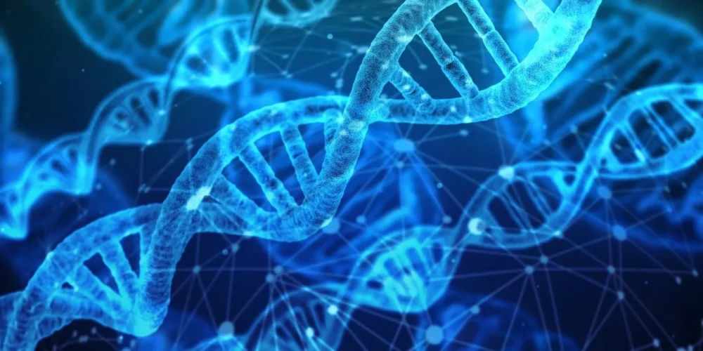Révolution médicale : un bébé miracle naît avec l'ADN de 3 personnes