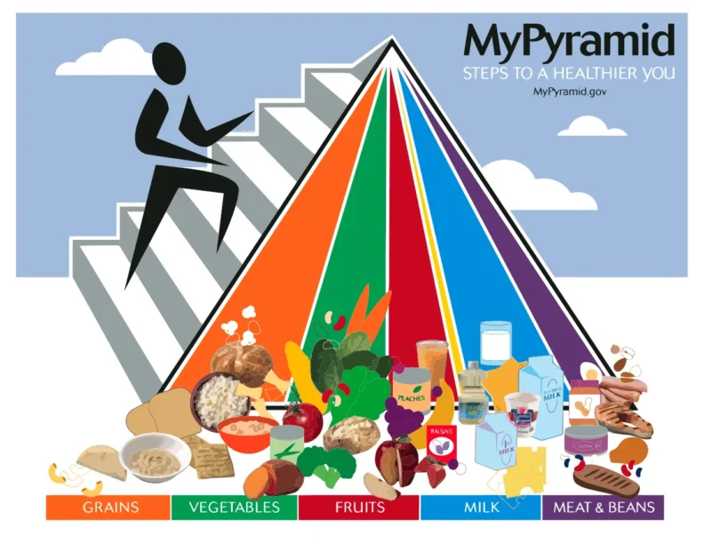 La pyramide alimentaire MyPlante (2005) qui succède à la pyramde de l'USDA créée en 1992