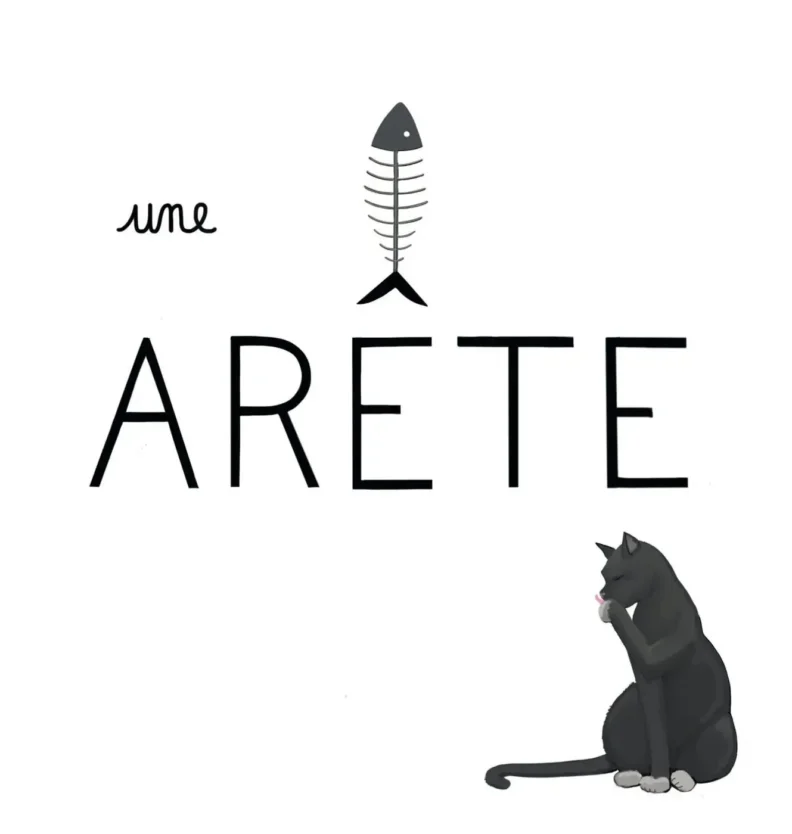 Un petit dessin vaut mieux qu'une grande leçon de Sandrine Campese : le "Ê" du mot arête